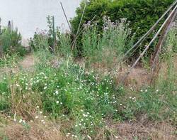 20260707_110307.jpg