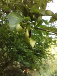 IMG_20260713_183208.jpg