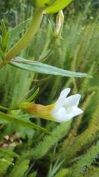 IMG_20260714_085516.jpg