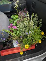 PXL_20260707_132226583.MP.jpg