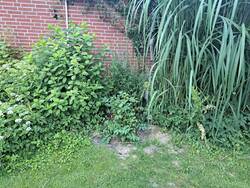20260630_051508.jpg