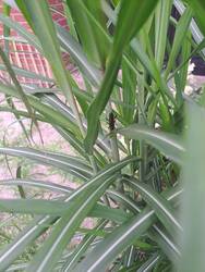 20260707_160637.jpg