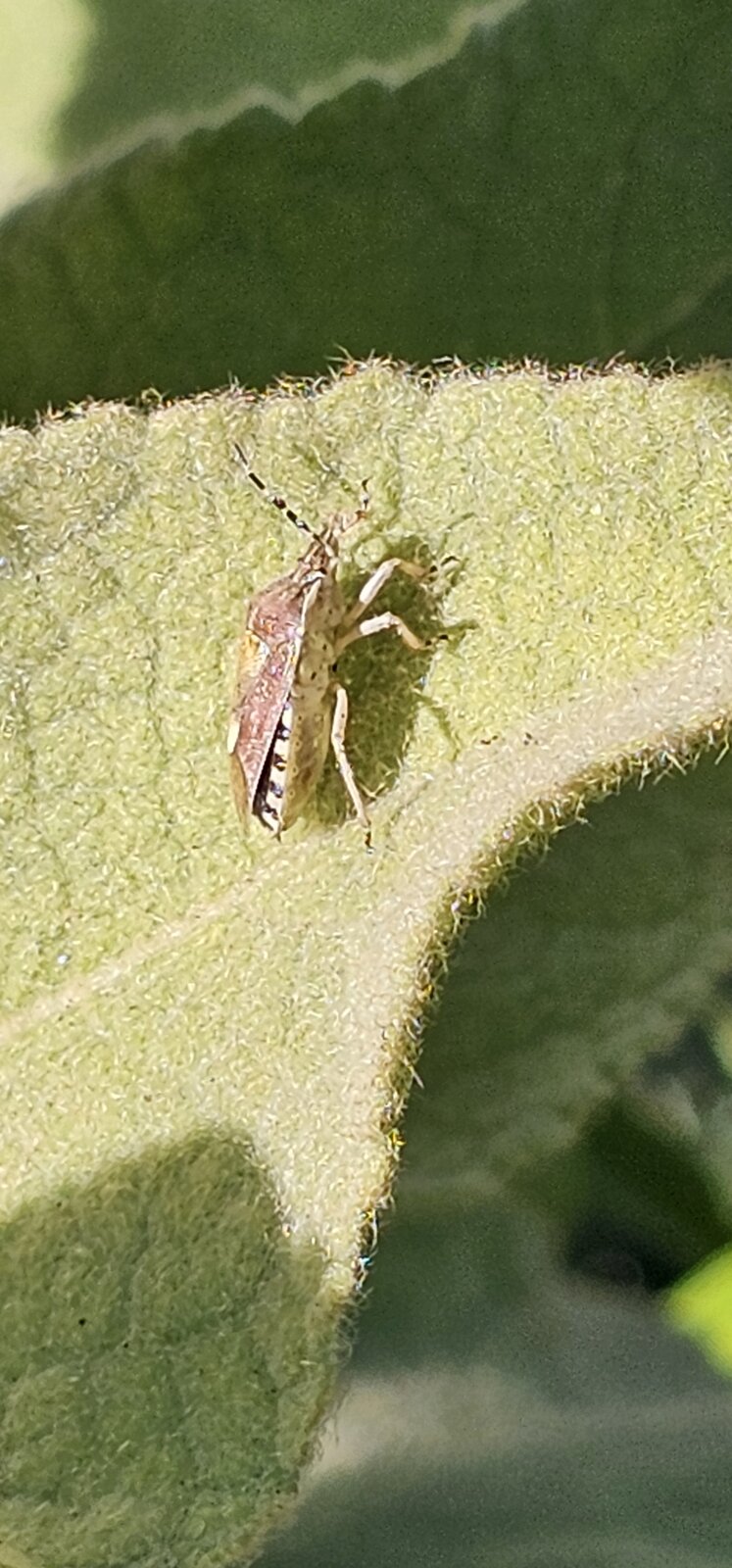 Bild