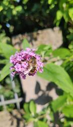 IMG_20230713_152213.jpg