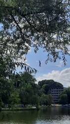 20230716_155947.jpg