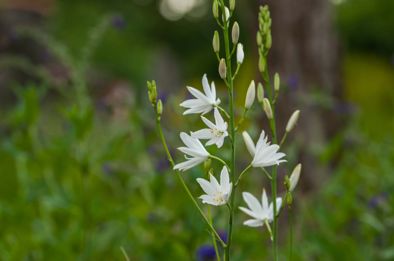 DSC_1045.jpg