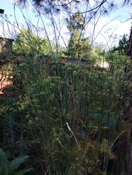 IMG_20230815_184644868.jpg