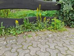 20230819_140618.jpg