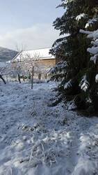 IMG_20240121_135945.jpg