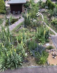 Garten im ersten Jahr