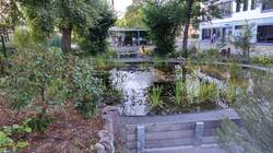 IMG_20220718_075705.jpg