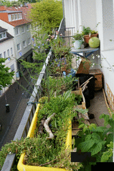2021-05-25-westbalcony.png