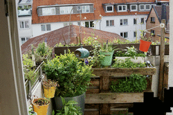 2021-05-16-eastbalcony.png