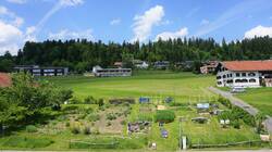 grünbunt01_acker12_©heinzle christoph_DSC05848_a_b.JPG