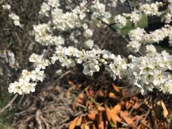 IMG_0206.jpeg
