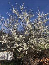 IMG_0204.jpeg