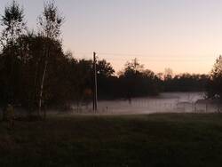 IMG_20241029_173506635.jpg
