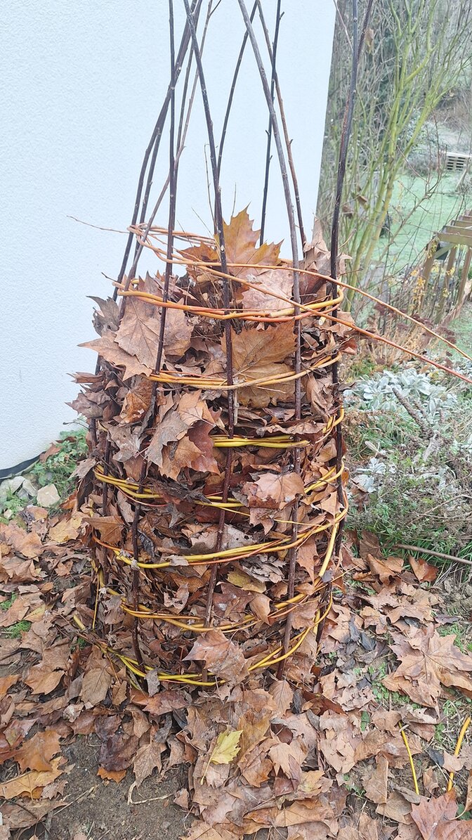 Bild