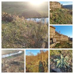 20241218_162236-COLLAGE.jpg