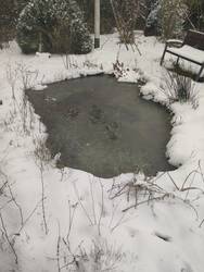 IMG_20250213_121432.jpg