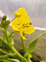 IMG_20250226_122653.jpg