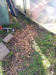 IMG_20250304_123511.jpg