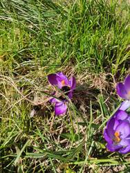 IMG_20250308_112040.jpg